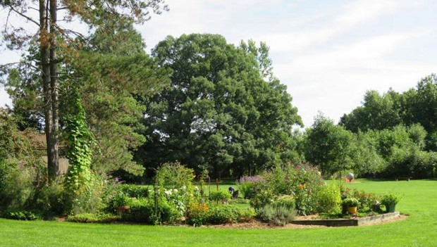One of many garden beds in Janice and Paul’s landscape, with the huge, 200-year-old oak tree as a backdrop.