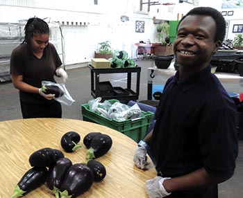 The Charles Drew Transition Center has become a national model for methodology and programs developed to educate special education students in the areas of Horticulture Science.