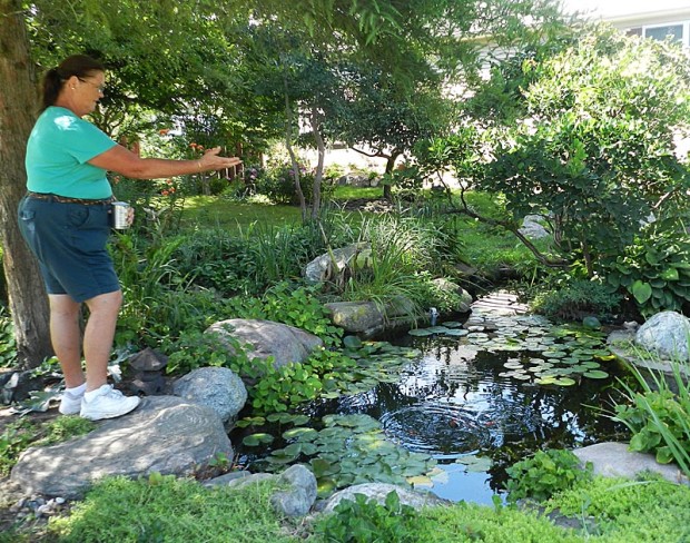 Cathy feeds goldfish in the figure eight pond.