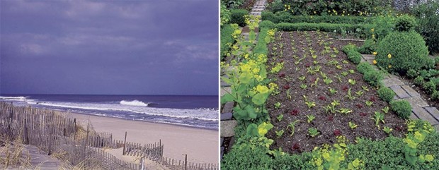 Left: The moon rules the tides. Right: Does it also rule the growth of these plants?