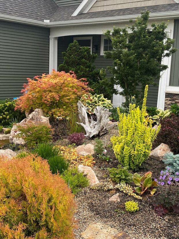 An Asian maple, barberry, and arborvitae deliver bursts of yellow and light orange.