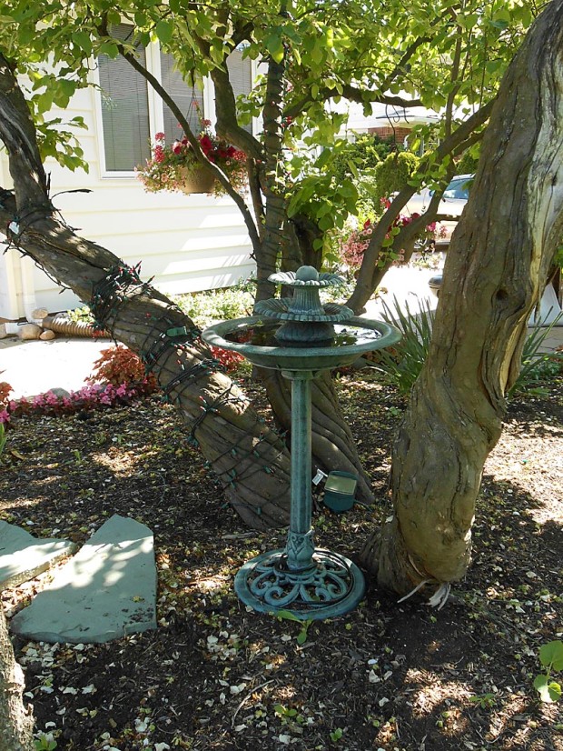 Cathy Connelly: Use non-plant material for color and interest: Statuary, garden flags, rocks, whimsical yard art, even attractive old birdbaths or bird feeders that you give yourself permission not to fill. 