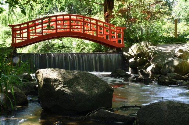 Cranbrook Japanese garden. (Photo: Eric Franchy)