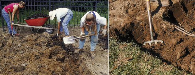 Left: Don’t worry about planting among still-whole chunks of clay. Plant alongside them or break them in half and fit them, plus decaying mulch around the new root balls as backfill. Right: Use a garden fork to loosen the bed.