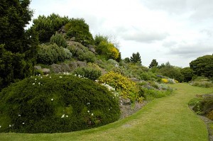 edinburgh-rock-garden