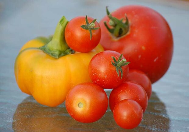 An Eggplant Of A Different Color Can Be Just As Sweet : The Salt : NPR