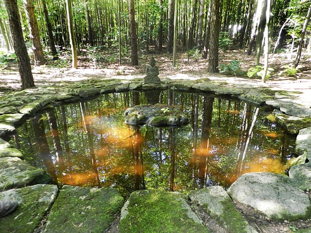 The Hodgsons created this area to bring two paths together and provide a reflective, cool place to sit and rest. In the center is a suspended natural ledge rock with native moss. Water gently overflows from the rock’s center and trickles through the moss and over the edge back into the water. There are a few smaller goldfish to add movement and mosquito control. The Buddha sculpture meditates across from the stone bench and frogs come and go. 