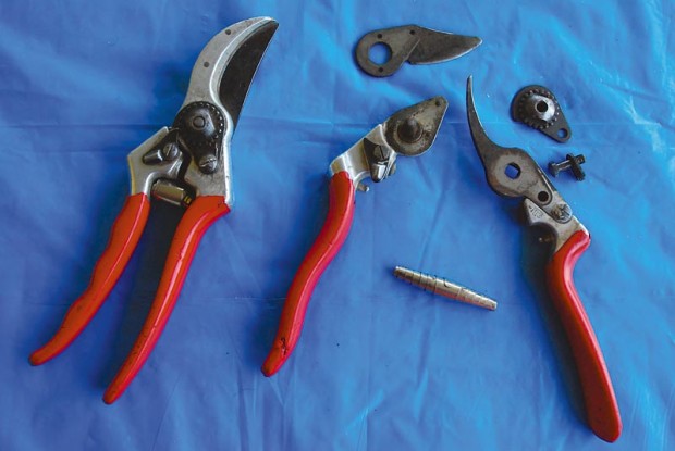 Some pruners can be disassembled for easier cleaning. Remember how you took them apart so putting them back together isn’t such a puzzle.