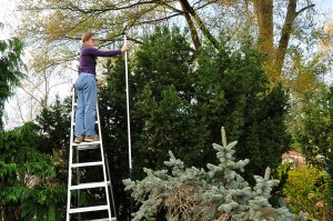 janet-macunovich-on-ladder