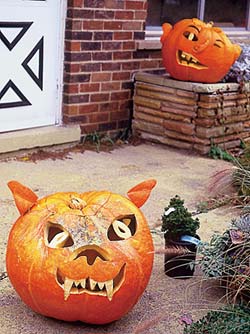 ...an optimist, with new plants waiting to be planted even at Halloween... 