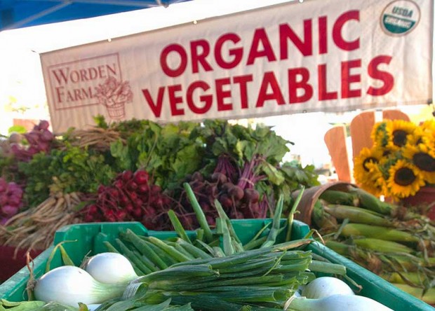 Results of a new study published this week in the British Journal of Nutrition adds to the evidence that organic production can boost key nutrients in foods. (Photo: USDA)