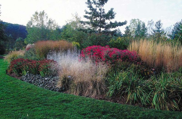 Few plants have such a supportive nature as ornamental grasses. They provide neighboring plants with a windbreak in summer, and perform the same service for birds in winter.