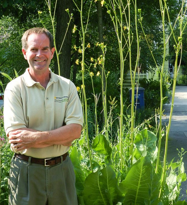 One of Grese’s favorites is prairie dock (Silphium terebinthinaceum). “I love the broad leaves and tall stalks. The leaves orient on a north-south axis and are wonderful backlit against the sun. The coarse texture is an effective contrast with fine-leaved plants,” he described.