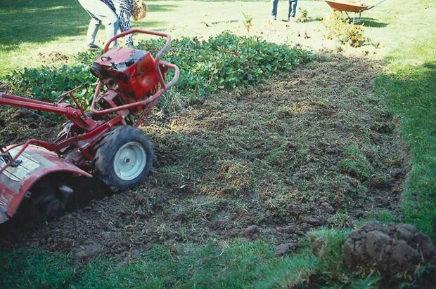 Rototilling can loosen soil, but be aware of some drawbacks. First, if you need to loosen deeply, the tiller may not penetrate deep enough. Second, repeated tilling can pulverize the soil into near dust. Soil crumbs will collapse on themselves and air won’t be able to reach the plant roots—and air is essential. Third, you can glaze a clay soil with the fast-turning tines, causing drainage and root penetration problems. Yet another note of caution: If you till existing plants into the bed, they will likely come back, and you will later have to control them with herbicides, pulling or smothering. In this case, you may not be able to plant until later in the year.