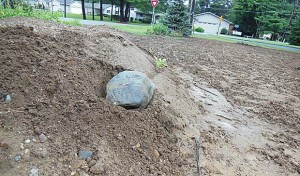 stone-placed-on-first-ledge