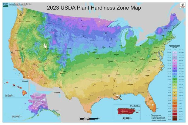 USDA 2023 Plant Hardiness Zone Map
